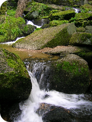 Lohnbachfall